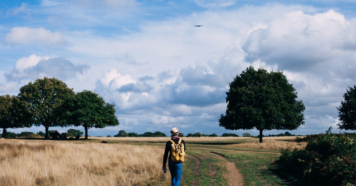 A lone hiker walks through a rural landscape under a blue sky, embracing nature's tranquility.