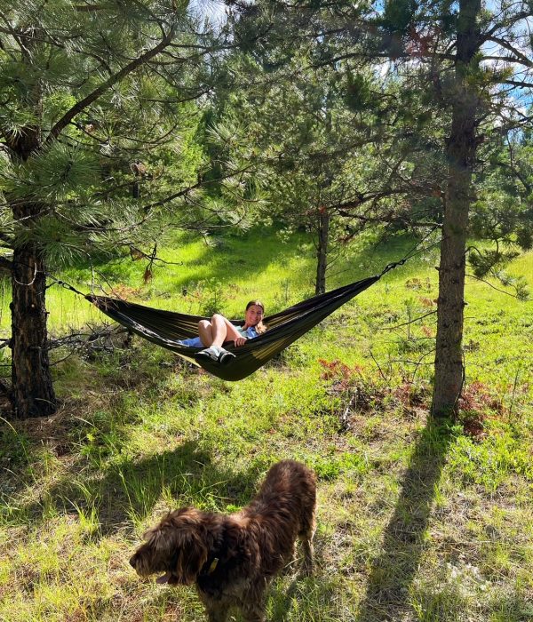 hammock pic